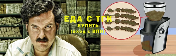 индика Абинск