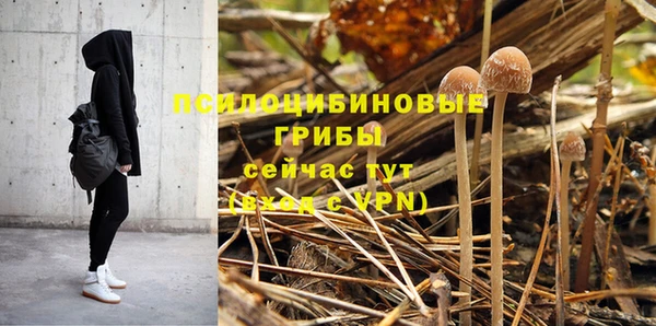 дживик Алзамай