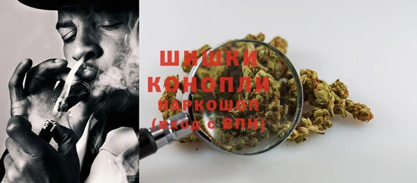 ГАЛЛЮЦИНОГЕННЫЕ ГРИБЫ Алексин