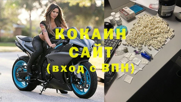 индика Абинск