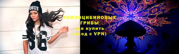 ГАЛЛЮЦИНОГЕННЫЕ ГРИБЫ Алексин