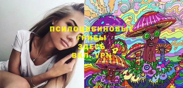 спиды Алексеевка